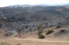 Branden uppges ha skövlat 95 hektar naturmark.