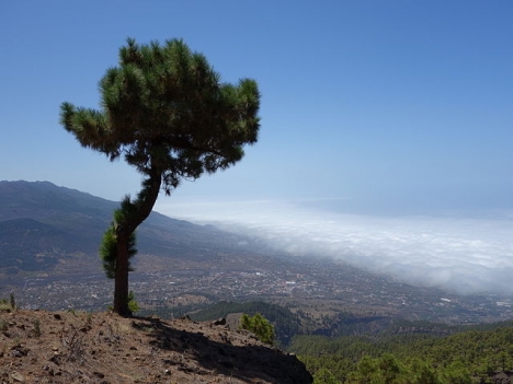 Värmeböljan kommer just som bland annat La Palma lidit en svår naturbrand. Foto: Tanja Freibott/Wikimedia Commons ARKIVBILD