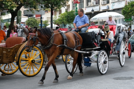 Nedräkningen har börjat. Marbella kommun planerar att under en treårsperiod återkalla licenserna för stadens hästdroskor.