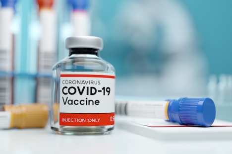 Uppemot 15 miljoner människor i Spanien kan eventuellt bli vaccinerade mot Covid-19 i början av nästa år.