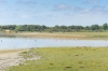 Nationalparken Doñana i Andalusien.