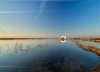 Lagunen Albufera i Valencia.