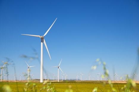 Andelen grön el i Spanien var 2020 den högsta sedan statistiken inleddes 2007. Störst andel stod vindenergin för, med nästan 22 procent av totalen.