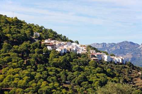Pujerra är en av fem kommuner i Málagaprovinsen som tvingats införa perimeterkarantän, på grund av den höga smittspridningen.