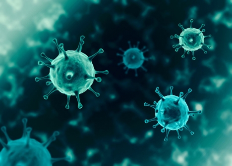 Covid-19 har förvandlats till ett vanligt återkommande virus, som endast utgör ett allvarligt hot mot äldre och personer med nedsatt immunförsvar.