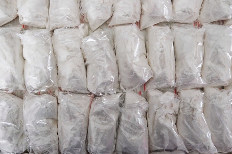 Den sprängda ligan tillskrivs hälften av allt kokain som smugglats ut i Europa. (Arkivbild)