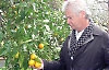 En av Alwins egna favoriter är citrusträden som ger trädgården en vacker färgklick. Hans företag, The Garden Company, erbjuder rådgivning, inspiration, trädgårdsdesign och anläggning av trädgårdar och terrasser.
