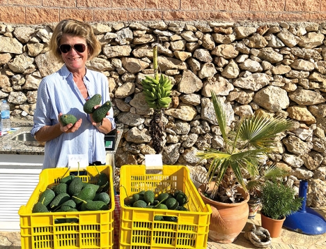 Gun-Britt Maulin med avokado från parets egen gård, som ligger intill vägen upp till byn Frigiliana. De odlar även mango, passionsfrukt, cherimoya, papaya, fikon, citroner och apelsiner. Foto: Ann-Christine Reimer