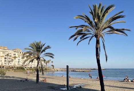 Miljödepartementet åberopar att stränderna intill Puerto Banús ska återgå till allmän egendom.