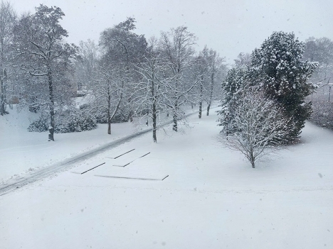 Kanske blir ungarna sjuka, barndopet inställt och Liseberg brinner ner, men roligare då att tänka på snöfall under en fantastisk Sverigevecka vilket väder det än blir!