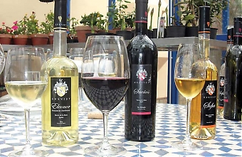 På Bodega Cezar framställs tre olika viner; det vita Eleonor gjort på Moscatel och Chardonnay, det röda Sueños gjord på Tempranillo, och det söta Sofia, hundra procent Moscatel.