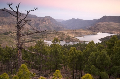 Arkivbild på reservoaren Las Niñas, på Gran Canaria.