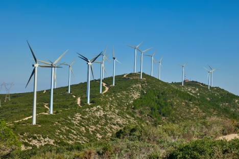 Vindkraft väntas behålla sin position som den största elproducenten i Spanien för fjärde gången på fem år.