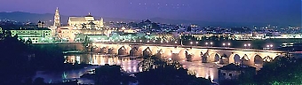 Córdoba, främst känd för sin Mezquita, är den enda världsarvsstaden i Andalusien. Se http://www.turismodecordoba.org