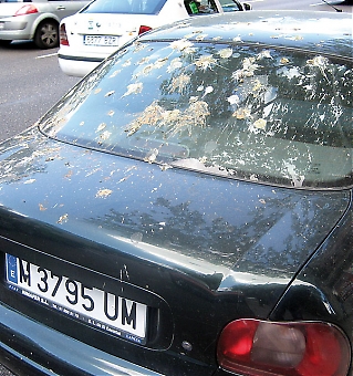 En Madridregistrerad bil kan råka ut för mer än bara fågelskit. Sydkusten har granskat ett fall där en svensk ägare otillbörligen krävts på fyra års bilskatt.