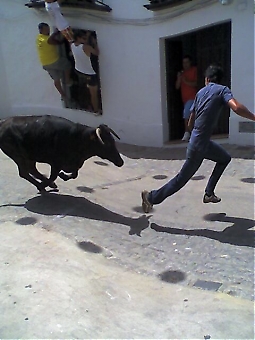 I sommar har flera personer dödats i Spanien i samband med festligheter med både kalvar och tjurar.