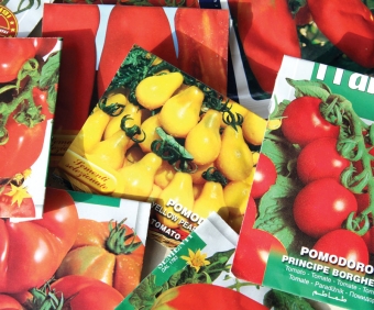 Tomater finns i alla de former och färger och vissa sorter har sina traditionella användningsområden.