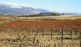 La Rioja ligger vid foten av de kantabriska bergen och även om det odlats vin överallt i Spanien sedan urminnes tider, var det här som produkten för första gången kommersialiserades.