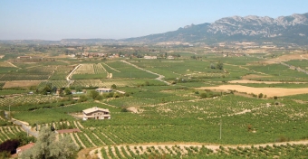 I slutet på förra seklet upplevde La Rioja ett nytt uppsving, med ett flertal nya bodegor som grundlade en ny skola, helt annorlunda från den tidigare och minst lika bra.